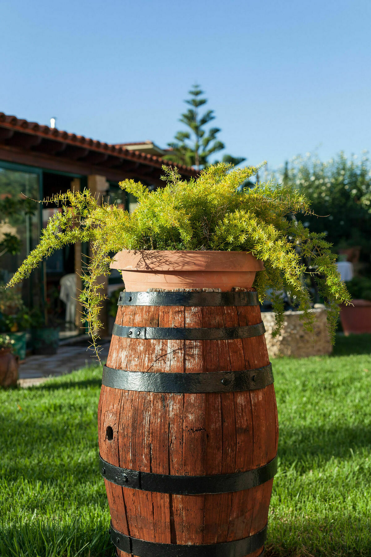 Nikos & Katerina Studios Agios Stefanos Avliotes  Luaran gambar