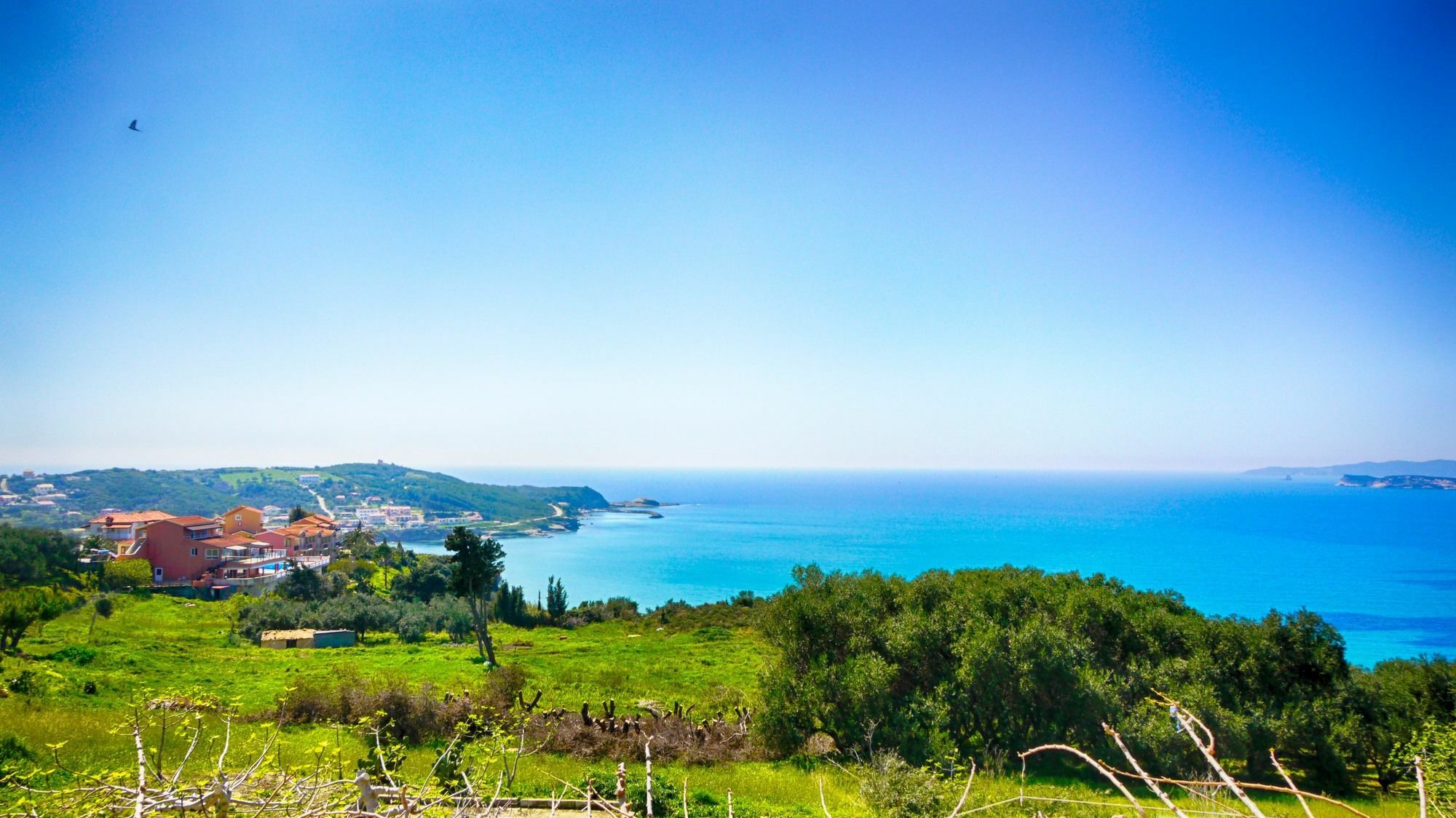 Nikos & Katerina Studios Agios Stefanos Avliotes  Luaran gambar